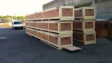 IMG-20141204-WA0087
